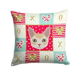 14 x 3 x 14 in. Singapura Cat Love Fabric Decorative Pillow