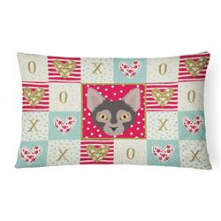 12 x 3 x 16 in. Lykoi Cat Love Canvas Fabric Decorative Pillow