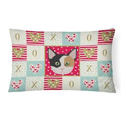 12 x 3 x 16 in. Munchkin Cat Love Canvas Fabric Decorative Pillow