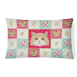 12 x 3 x 16 in. Oregon Rex Cat Love Canvas Fabric Decorative Pillow