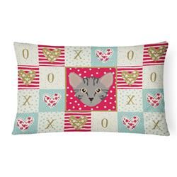 12 x 3 x 16 in. Safari Cat Love Canvas Fabric Decorative Pillow