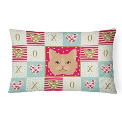 12 x 3 x 16 in. Selkirk Rex Cat Love Canvas Fabric Decorative Pillow
