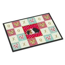 18 x 27 in. Abyssinian Guinea Pig Love Indoor or Outdoor Mat
