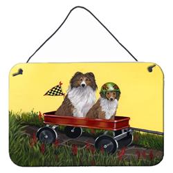 8 x 12 in. Sheltie Sheepdog Express Wall or Door Hanging Prints