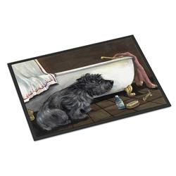 24 x 36 in. Cairn Terrier Bath Time Indoor or Outdoor Mat