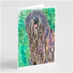 Bergamasco Sheepdog Greeting Cards & Envelopes, Pack of 8