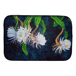 Picture of Carolines Treasures FHC1006DDM Night Blooming Cereus by Ferris Hotard Dish Drying Mat