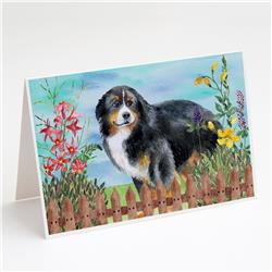 Bernese Mountain Dog Spring Greeting Cards & Envelopes - Pack of 8