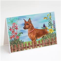 Miniature Pinscher Spring Greeting Cards & Envelopes - Pack of 8