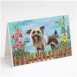 Chinese Crested Spring Greeting Cards & Envelopes - Pack of 8