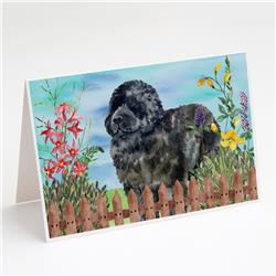 Newfoundland Spring Greeting Cards & Envelopes - Pack of 8