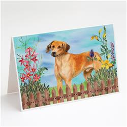 Rhodesian Ridgeback Spring Greeting Cards & Envelopes - Pack of 8