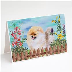 Pomeranian Spring Greeting Cards & Envelopes - Pack of 8