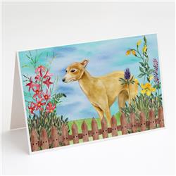 Italian Greyhound Spring Greeting Cards & Envelopes - Pack of 8