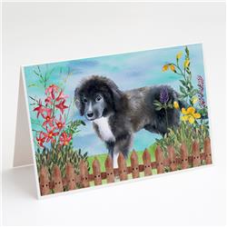Newfoundland Puppy Spring Greeting Cards & Envelopes - Pack of 8