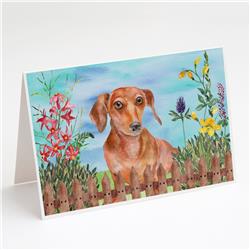 Red Dachshund Spring Greeting Cards & Envelopes - Pack of 8