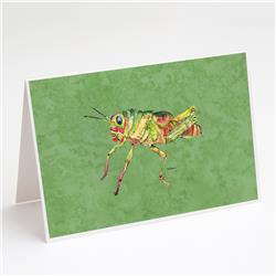 Grasshopper on Avacado Greeting Cards & Envelopes - Pack of 8