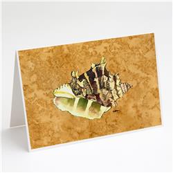 8658GCA7P Shell Greeting Cards & Envelopes - Pack of 8