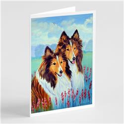 Sable Shelties Double Trouble Greeting Cards & Envelopes - Pack of 8