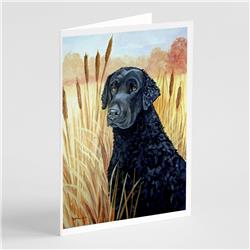 Curly Coated Retriever Greeting Cards & Envelopes - Pack of 8