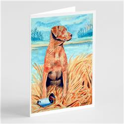 Chesapeake Bay Retriever Greeting Cards & Envelopes - Pack of 8