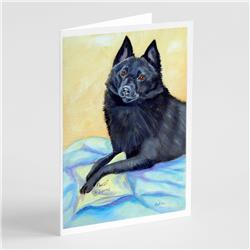 Schipperke Sweet Dreams Greeting Cards & Envelopes - Pack of 8