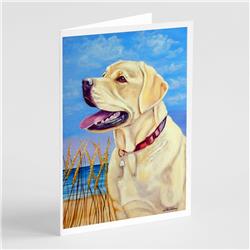 Yellow Labrador At the Beach Greeting Cards & Envelopes - Pack of 8