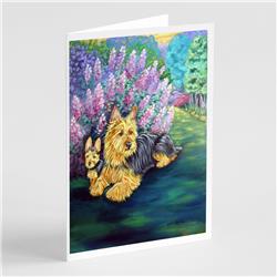 Australian Terrier & Puppy Greeting Cards & Envelopes - Pack of 8
