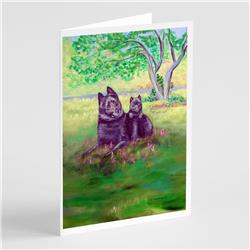 Schipperke & Puppy Greeting Cards & Envelopes - Pack of 8