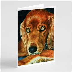 Irish Setter Serious Greeting Cards & Envelopes - Pack of 8