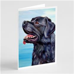 Black Labrador Retriever Greeting Cards & Envelopes - Pack of 8