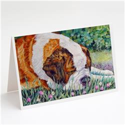 Saint Bernard Naptime Greeting Cards & Envelopes - Pack of 8
