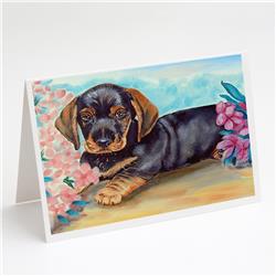 Dachshund Greeting Cards & Envelopes - Pack of 8