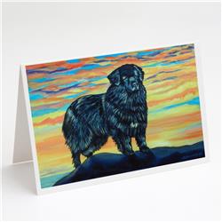 Newfoundland Greeting Cards & Envelopes - Pack of 8