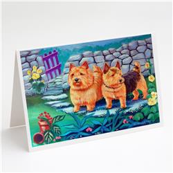 Norwich Terrier Greeting Cards & Envelopes - Pack of 8