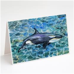 Killer Whale Orca Greeting Cards & Envelopes - Pack of 8