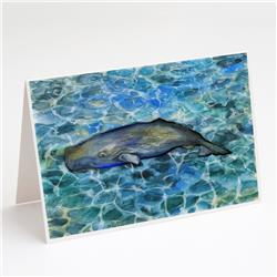 Sperm Whale Cachalot Greeting Cards & Envelopes - Pack of 8
