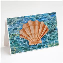 Scallop Shell & Water Greeting Cards & Envelopes - Pack of 8