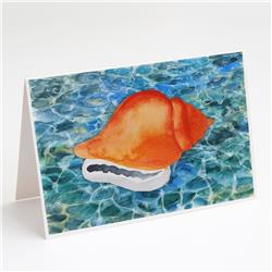 Sea Shell Greeting Cards & Envelopes - Pack of 8