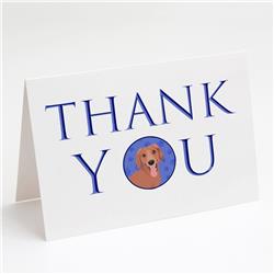 CK8957GCA7P 5 x 7 in. Unisex Chihuahua Red No.1 Thank You Greeting Cards & Envelopes, Multi Color - Pack of 8
