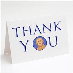 CK8984GCA7P 5 x 7 in. Unisex Doodle Liver No.2 Thank You Greeting Cards & Envelopes, Multi Color - Pack of 8