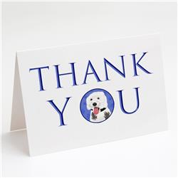 CK8993GCA7P 5 x 7 in. Unisex Doodle Silver & White No.2 Thank You Greeting Cards & Envelopes, Multi Color - Pack of 8