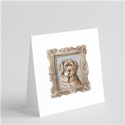 5 x 5 in. Unisex Labrador Retriever Chocolate Puppy Square Greeting Cards & Envelopes, Multi Color - Pack of 8 -  PartyPros, PA2902805