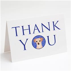 CK8946GCA7P 5 x 7 in. Unisex Chihuahua Cream Thank You Greeting Cards & Envelopes, Multi Color - Pack of 8