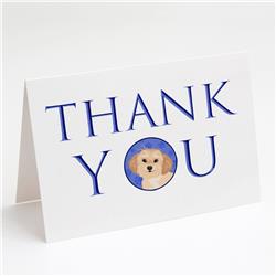 CK9122GCA7P 5 x 7 in. Unisex Shih-Tzu Gold No.1 Thank You Greeting Cards & Envelopes, Multi Color - Pack of 8