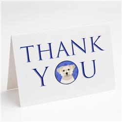 CK9127GCA7P 5 x 7 in. Unisex Shih-Tzu Gold No.6 Thank You Greeting Cards & Envelopes, Multi Color - Pack of 8