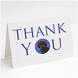 CK9083GCA7P 5 x 7 in. Unisex Poodle Toy Brown Thank You Greeting Cards & Envelopes, Multi Color - Pack of 8
