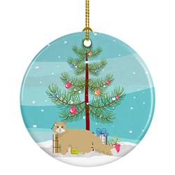 2.8 x 2.8 in. Unisex Oregon Rex Cat Merry Christmas Ceramic Ornament