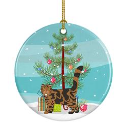 2.8 x 2.8 in. Unisex Foldex Exotic Fold No.2 Cat Merry Christmas Ceramic Ornament