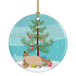 2.8 x 2.8 in. Unisex Ragdoll No.2 Cat Merry Christmas Ceramic Ornament